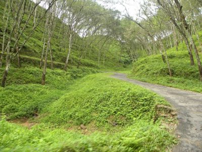 Ratnapura Tour Package | Tour Packages